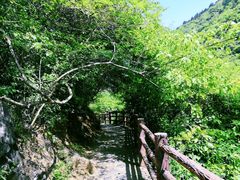 -汉中石门栈道风景区