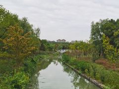 -昆山城市生态森林公园