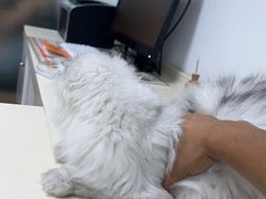 -宠颐生中康贝怡动物医院