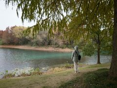-贡湖湾湿地公园