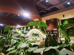 -云海肴汽锅鸡·云南小炒(曲江大悦城店)