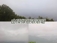-紫金山山顶公园