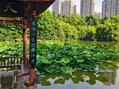 -龙头寺公园