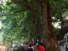 -庐山风景区花径公园