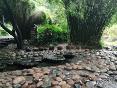 -成都市活水公园