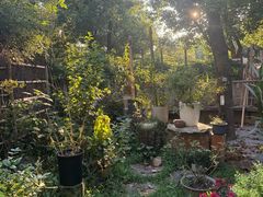 -谷咖啡·鲜花绿植花园餐厅