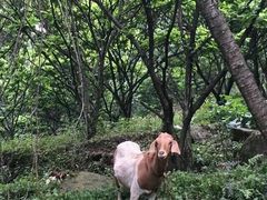 -樱桃山旅游景区