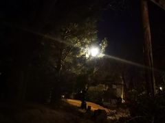 -青岛香根温泉酒店