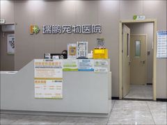 -瑞鹏宠物医院·骨外科·心肾科·肿瘤科(九亭店)