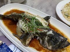 -小海丁