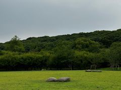 -苏州上方山国家森林公园
