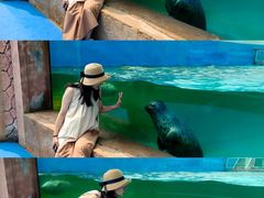 -秦皇岛乐岛海洋王国