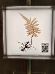 -阅年轻·AI家庭健康体质调理