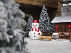 -巴黎春天(浦建店)