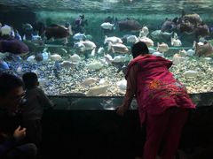 -成都浩海立方海洋公园