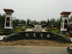 -武清南湖绿博园