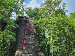-汤旺河林海奇石景区