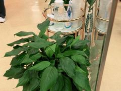 -爱康国宾体检中心(总部基地分院)