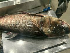 -雪野鱼头大王邢府公老店(雪野湖店)