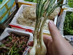 -岳各庄批发市场(西四环中路店)