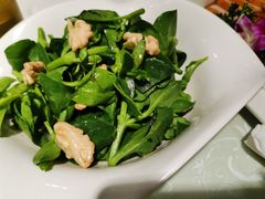 田七苗拌鲜桃仁-七哥港式茶餐厅(亮马桥总店)