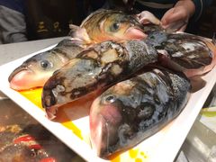 花鲢鱼头-融泽漁悦三只耳鱼火锅(南郑大道店)