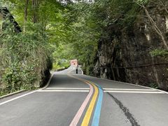 -牛背梁国家森林公园