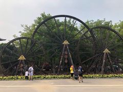 -北京呀路古热带植物园