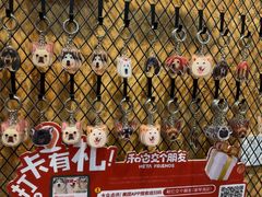 -和它·交个朋友·狗咖猫咖(爱琴海店)