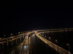 -星海湾跨海大桥