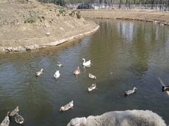 -东郊湿地公园