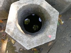 -杭州西湖风景名胜区-满觉陇四眼井