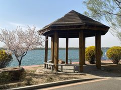 -丁香湖公园