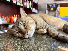 -协和菜馆(凤凰街店)