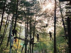 -梦幻奥陶纪景区