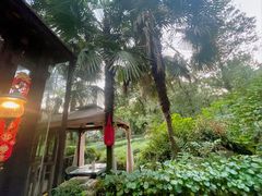 -野蔓果·山野菜(西湖景区·龙井茶田店)