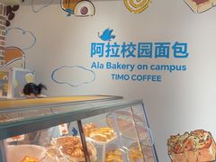 -TIMO COFFEE 阿拉校园面包