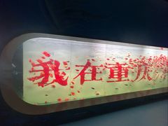 -重庆欢乐海底世界