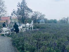 -静之湖湖畔餐厅