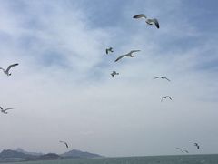 -海驴岛(荣成市)