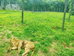 -西安秦岭野生动物园