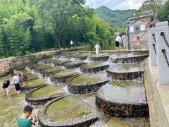 -青龙双河漂流