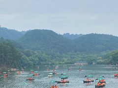 -黔灵山公园