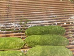-FANEN法念·烘焙·甜点(万象城店)