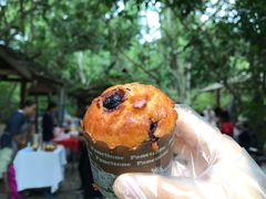 -Bamboo Saturday Market(Nana Jungle)