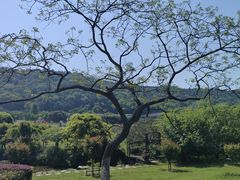 -龙寺生态园