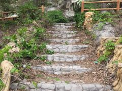 -白河湾生态旅游一条川