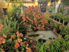 -园林美食城·本土农家菜(杨和镇店)