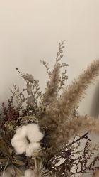 -紫御国际抗衰ZOE ANTI AGING