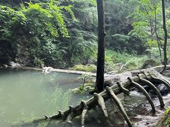 -香炉山国家森林公园